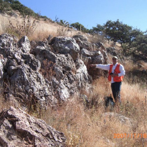 Vein outcrop in the SE hillside