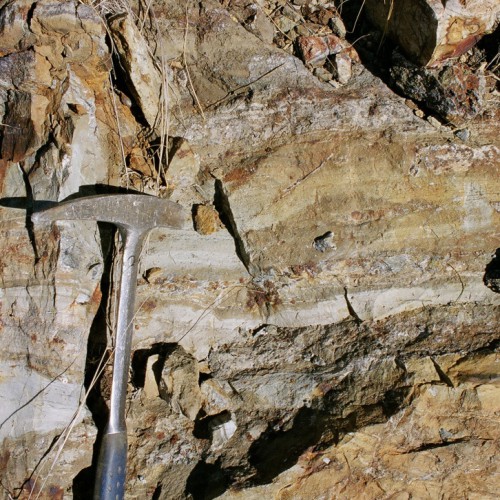 Altered and Silicified Siltstones